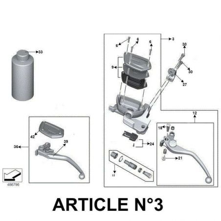 Genuine BMW R NineT master cylinder + clutch lever image 1