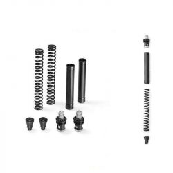 Standard Matris FKE springs and fork caps BMW R NineT Racer and Pure picture 1