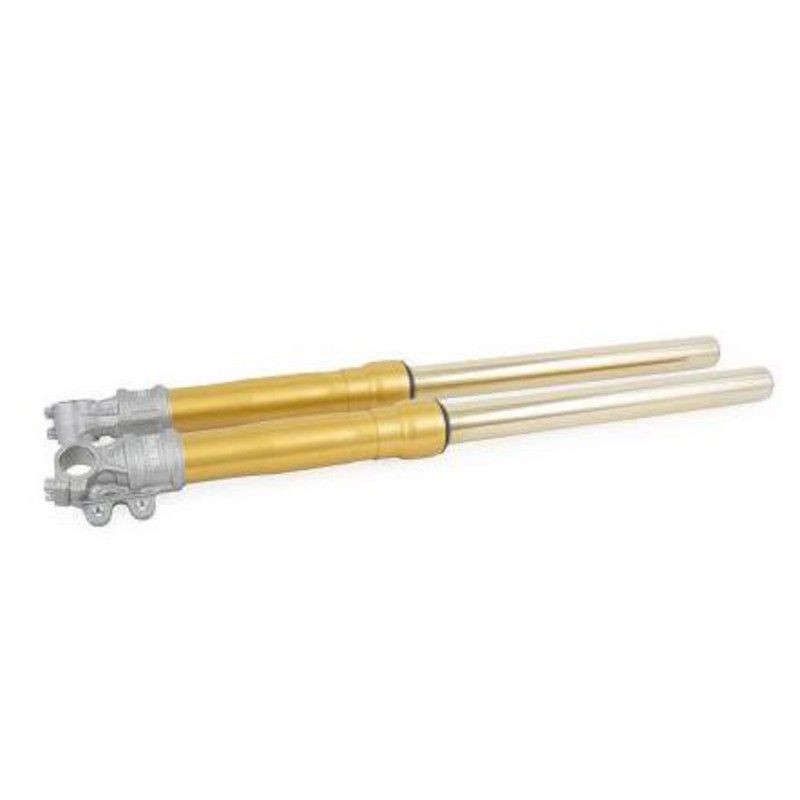 Fourche Öhlins or BMW R NineT fourche standard image 1