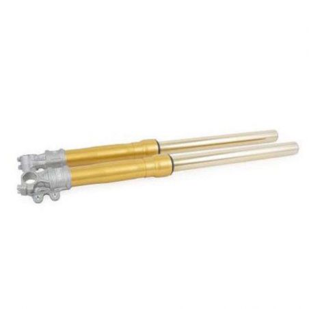 Fourche complete Öhlins doree BMW R NineT fourche standard