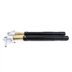 Öhlins FGRT227 BMW R NineT black forks 2017-2019 picture 2