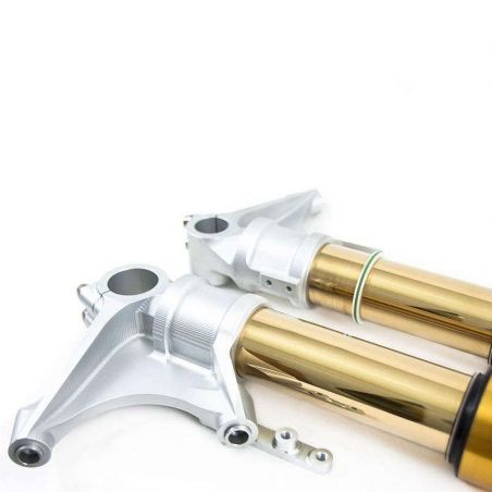 Öhlins FGRT218 BMW R NineT 2014-2016 complete fork - gold picture 1