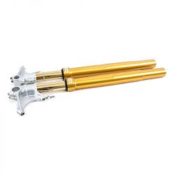 Fourche complète Öhlins FGRT218 BMW R NineT 2014-2016 - or image 2