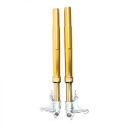 Öhlins FGRT218 BMW R NineT 2014-2016 complete fork - gold picture 3