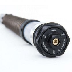 Set cartouche de fourche Öhlins NIX22 BMW R NineT Pure & Racer image 3