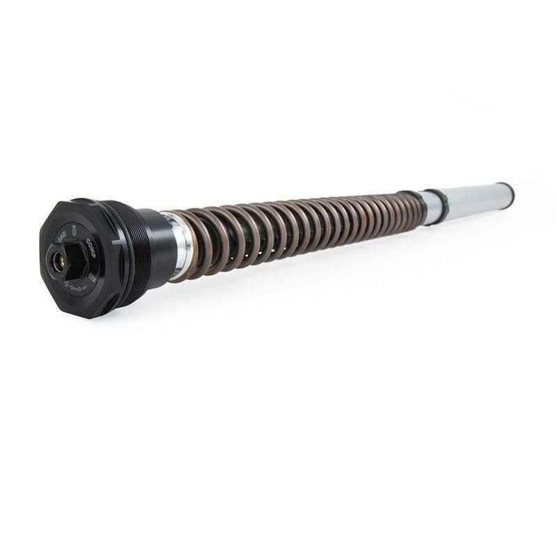 Öhlins NIX30S fork cartridge set BMW R NineT 2017-2019 picture 1