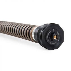 Öhlins NIX30S fork cartridge set BMW R NineT 2017-2019