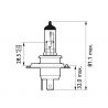 H4 MotoVision Philips BMW R NineT halogen bulb picture 2
