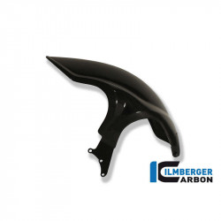 Lèche-roue arrière Ilmberger carbone BMW R NineT