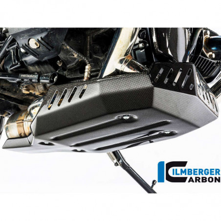 Ilmberger carbon engine cover BMW R NineT picture 1