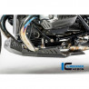 Ilmberger carbon engine cover BMW R NineT