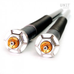 Öhlins fork cartridge BMW R12 & R12 NineT - standard
