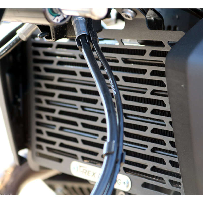 Radiator grill T-Rex Racing BMW R12 & R12 NineT picture 1