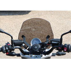 Bulle T-Rex Racing BMW R12 - fumé image 4