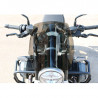 Bubble T-Rex Racing BMW R12 - dark smoke picture 3