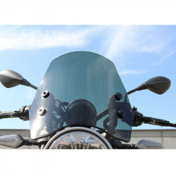 Bubble T-Rex Racing BMW R12 - dark smoke picture 2
