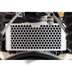 Unit Garage radiator grille BMW R NineT - silver