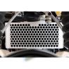 Grille de radiateur Unit Garage BMW R NineT - argent
