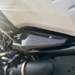 Ilmberger carbon inlejector cover left BMW R NineT picture 3