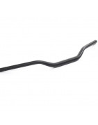 Guidon